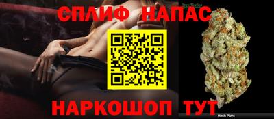 прущие грибы Нарткала