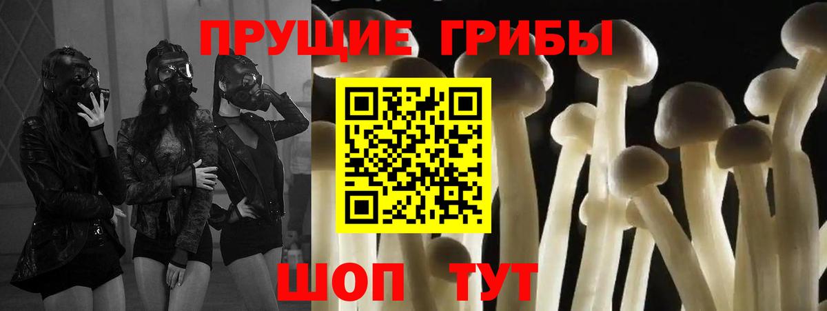 Псилоцибиновые грибы ЛСД  Галлюциногенные грибы GOLDEN TEACHER  Унеча  Вход с VPN 